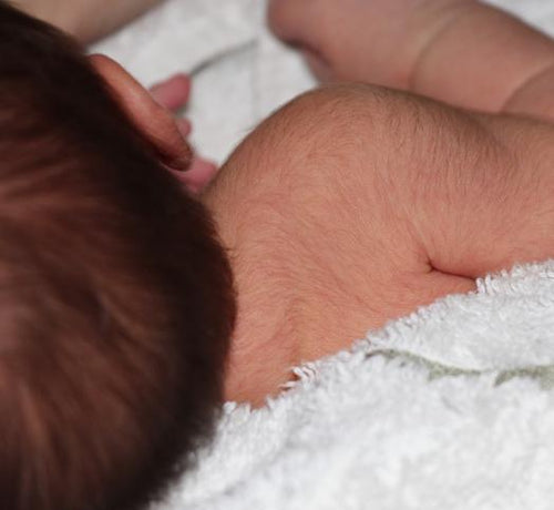 Lanugo Tüyleri Nedir, Ne Zaman Dökülür? - Mustela Türkiye - 1