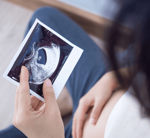 Trimester Nedir? Trimester Dönemi Nasıl Belirlenir? - Mustela Türkiye - 1