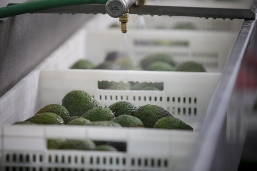 2023_MULTI_PURPOSE_BALM_V2_PERU_CAMPAIGN_PICTURES_FACTORY_18-min - Mustela Türkiye - 1