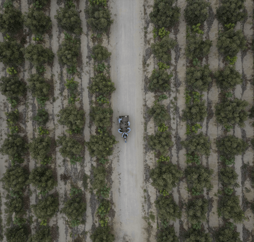 Champs-min_1 - Mustela Türkiye - 1