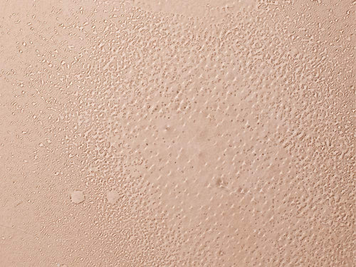 rollover - Mustela Türkiye - 4