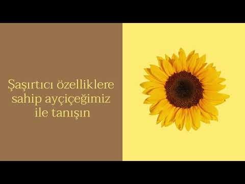 Stelatopia Temizleme Yağı - Mustela Türkiye - 6