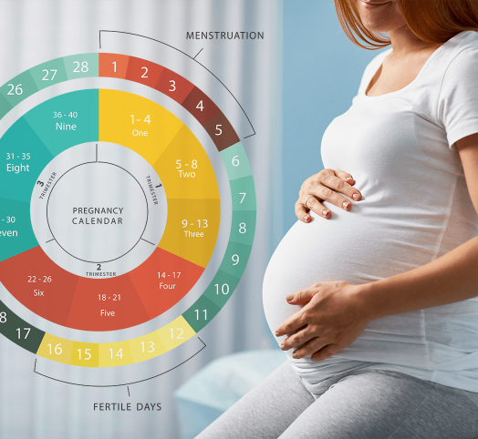 Gebelik Hesaplama: Nasıl Yapılır? Gebelik Hesaplama Cetveli Nedir?