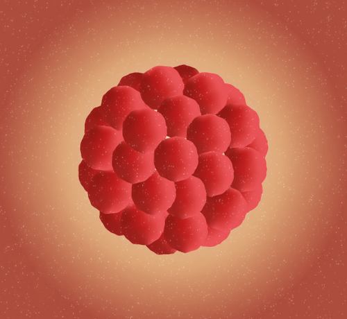 1_dbf17cb3-a434-4948-999f-a31873f507e3 - Mustela Türkiye - 1