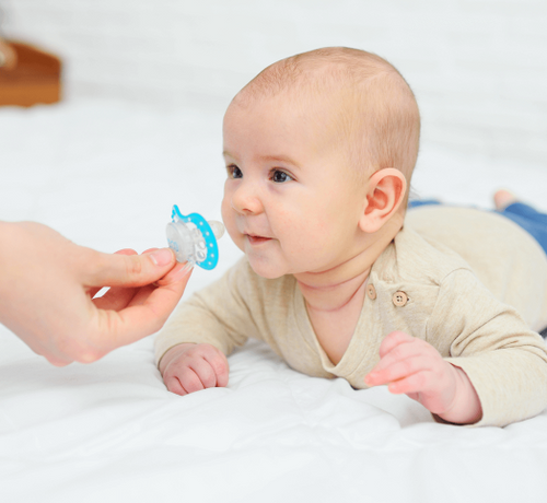 3 - Mustela Türkiye - 1