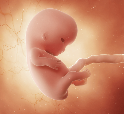 9_1_20839b8f-39c2-480c-91f2-08aac1f30d00 - Mustela Türkiye - 1