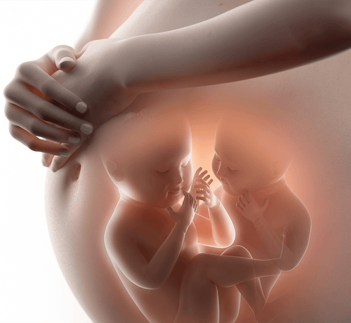 İkiz Gebelik Nedir ve Belirtileri Nelerdir? - Mustela Türkiye - 1