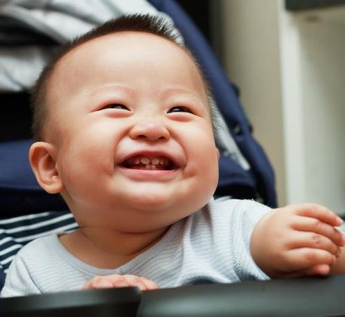 Normal ciltler - Mustela Türkiye - 1