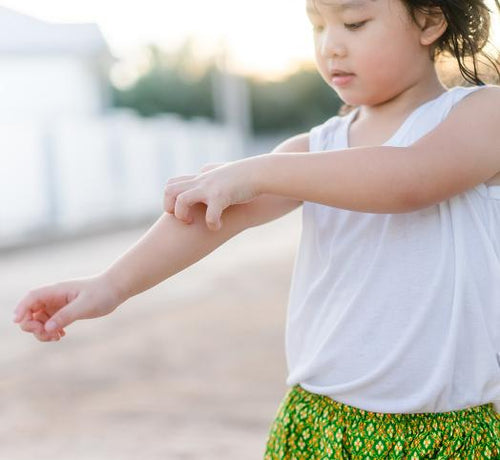 Doğru/yanlış - Mustela Türkiye - 1