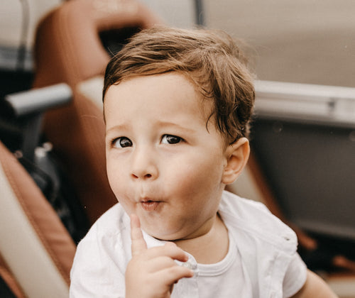 03 - Mustela Türkiye - 1