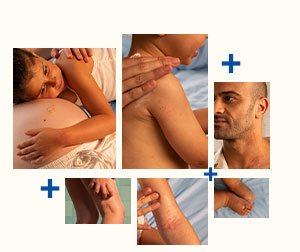 ioanafar-443 - Mustela Türkiye - 1