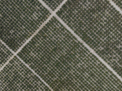 ABOUT-US_EN-SAVOIR-PLUS-SUR-MUSTELA_PHOTO-LIEN-NOS-ENGAGEMENTS - Mustela Türkiye - 1