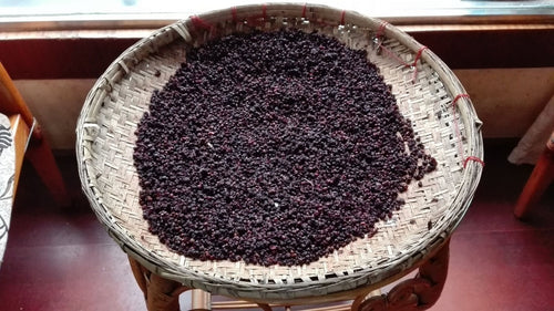 ABOUT-US_PAGE-SCHISANDRA_PHOTO-BLOC-3_SLIDE-2 - Mustela Türkiye - 1