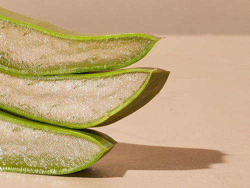 ALOE-VERA - Mustela Türkiye - 1