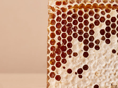 COLD_CREAM_1000X750_8059fcc9-b011-40f2-9a02-5823511c232d - Mustela Türkiye - 1