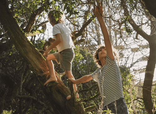 Repair-min - Mustela Türkiye - 1