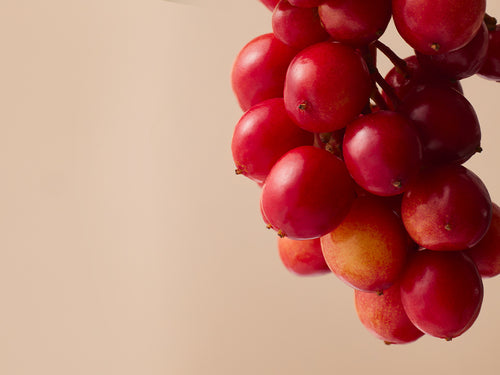 SHIZANDRA_HD - Mustela Türkiye - 1