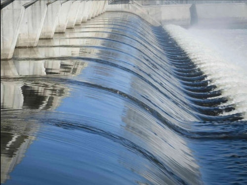 composition_et_production_3 - Mustela Türkiye - 1