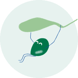 olive - Mustela Türkiye - 1