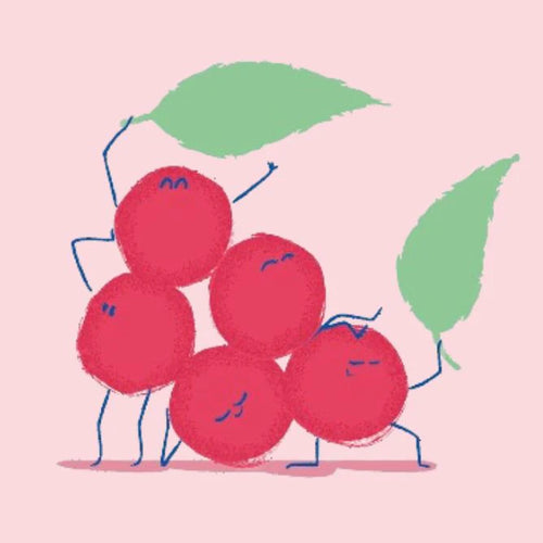 shisandra-bilesenlerimiz - Mustela Türkiye - 1