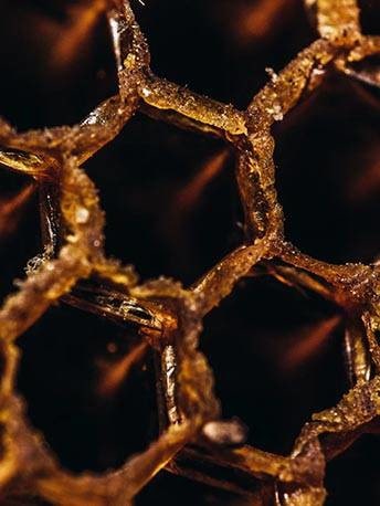 slider_2-min - Mustela Türkiye - 1