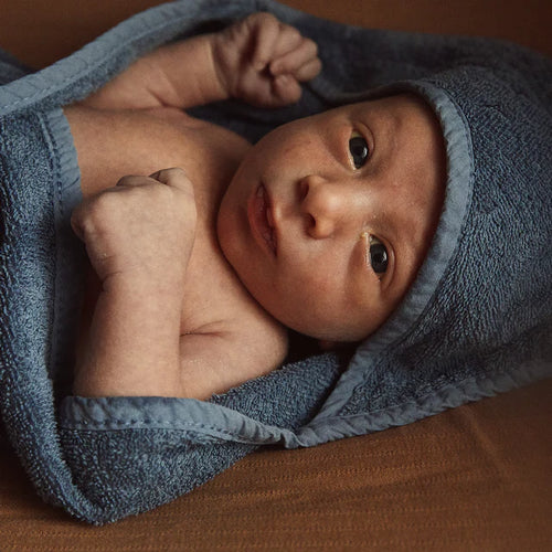 Mustela Türkiye - Mustela Türkiye - 1